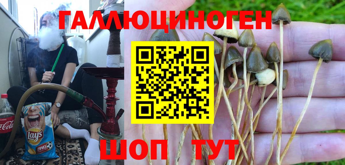 Псилоцибиновые грибы Psilocybe  Вход с VPN  Ревда 