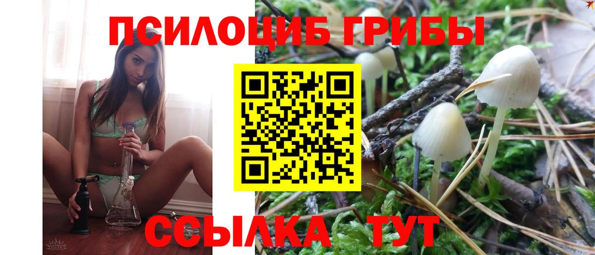 Галлюциногенные грибы мухоморы Ревда